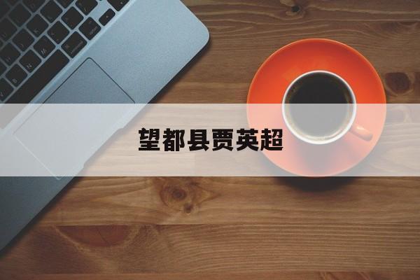 望都县贾英超,望都县贾英超个人简历